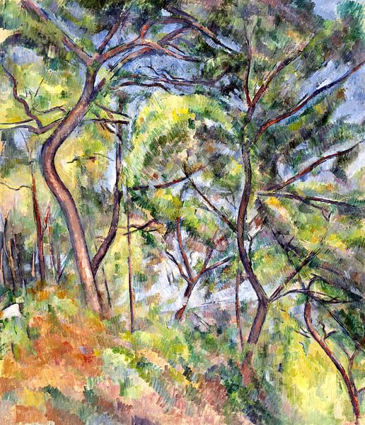 Paul Cézanne, Unterholz - 1894 von Atelier Liesjes
