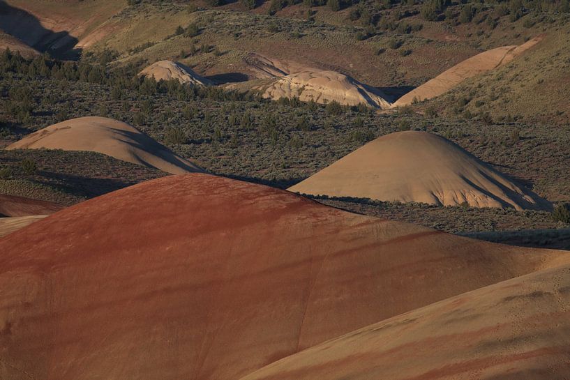 Painted Hills in the John Day Fossil Beds National Monument at Mitchell City, Wheeler County, Northe by Frank Fichtmüller