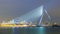 The Bridge, Rotterdam van Marieke Treffers thumbnail
