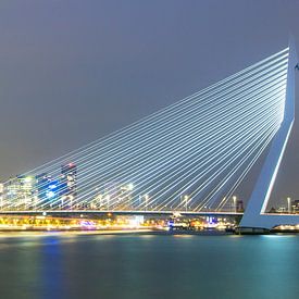 The Bridge, Rotterdam by Marieke Treffers