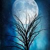 Volle maan nacht en winterboom van Dirk Wüstenhagen