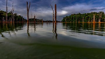 Het Brokopondomeer in Suriname van René Holtslag