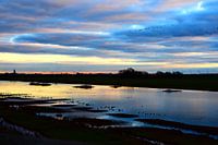 view over pond