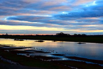 view over pond by Lizette de Jonge