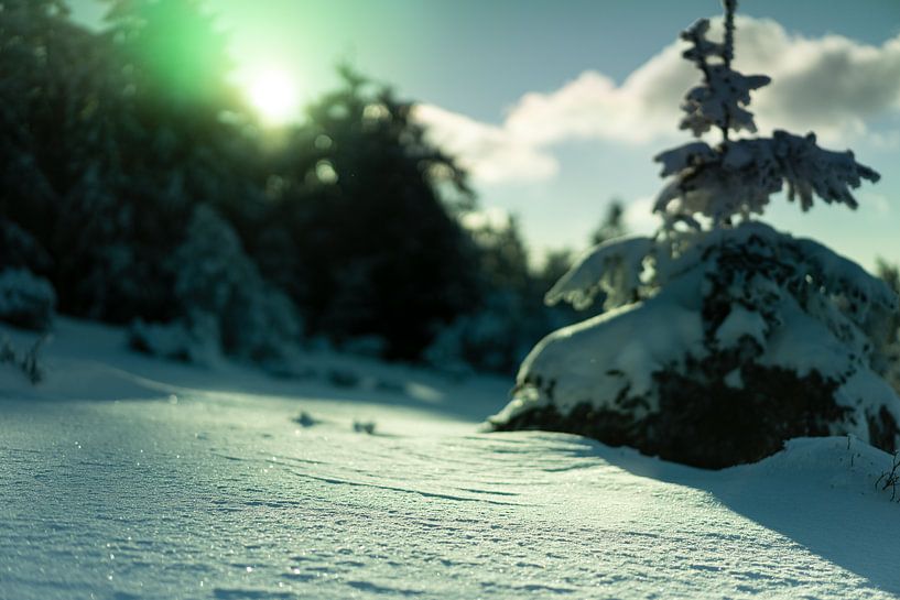 Warm zonlicht reflecterend op de sneeuw van André Post