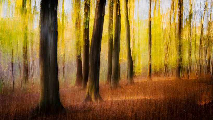 Herbsttöne von Peter Smeekens