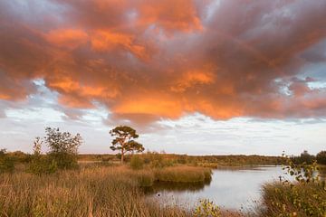 Coucher de soleil à Dwingelderveld, Pays-Bas sur Ronald Wilfred Jansen