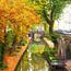 Werfkelder Utrecht