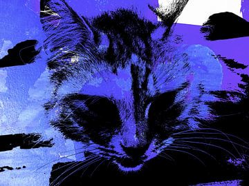 Kattenkunst - Kelly 1 van MoArt (Maurice Heuts)