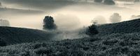 In de mist