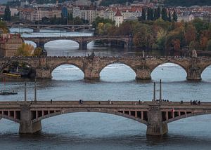 Die Brücken über die Moldau in Prag