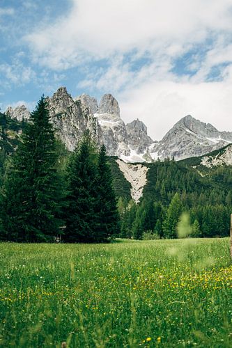 Filzmoos Bischofsmütze