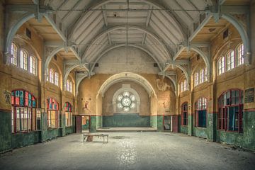 The Gym by Frans Nijland