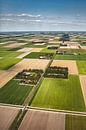 Luchtfoto van boerderijen in de Noordoostpolder van Frans Lemmens thumbnail