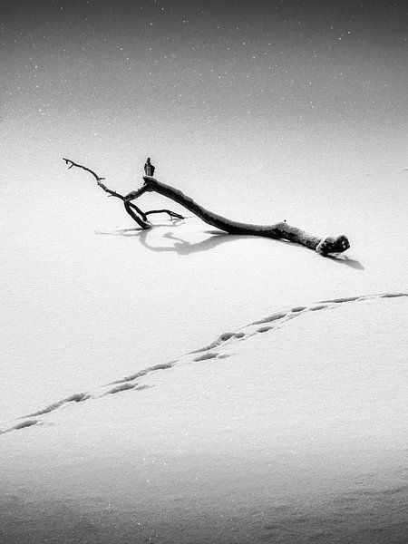 Winterstemming van Alexander Dorn