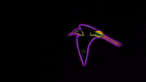 Violetneonvögel von HenryFarblosFoto
