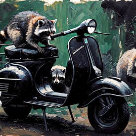 Die Invasion der Waschbären von DeVerviersBelgium