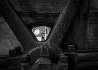 Looking into the future