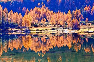 Reflet de la forêt automnale au lac Duisitzkar sur Christa Kramer