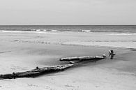 Treibholz am Strand von Femke Ketelaar Miniaturansicht