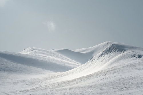 Witte Golven van Stilte