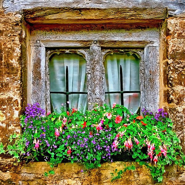 Altes Fenster mit Blumen von Leopold Brix