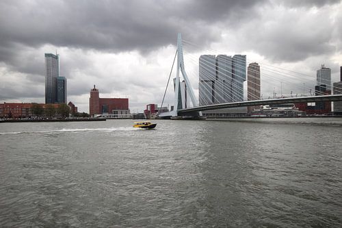 watertaxi raast over nieuwe maas onder erasmusbrug Rotterdam