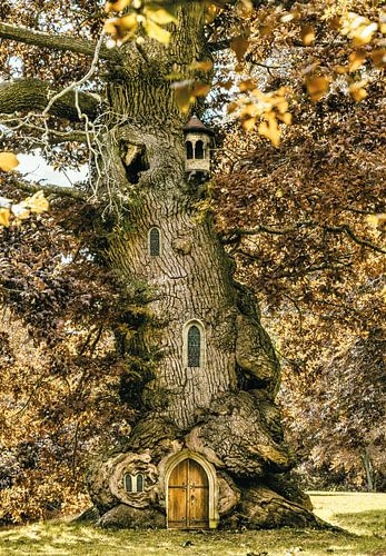 mit Elfenaugen #57 von Lars van de Goor