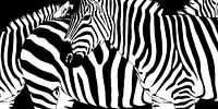 Verwirrende Zebrastreifen von Monika Jüngling Miniaturansicht