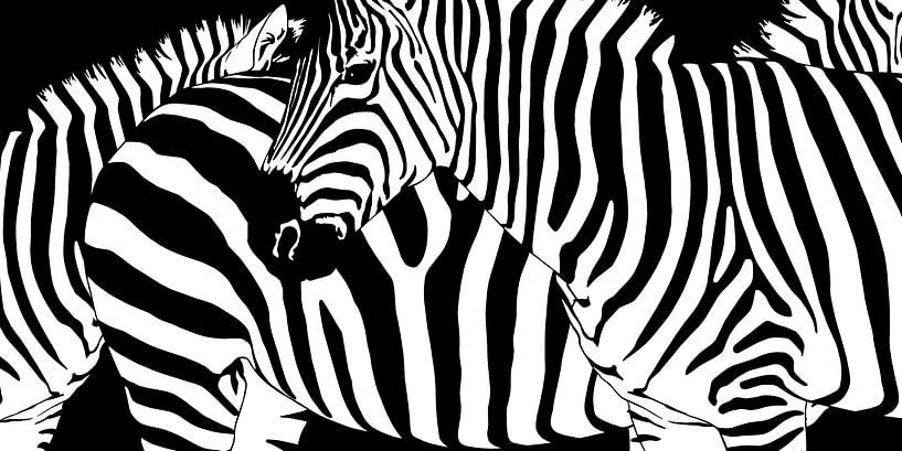 Verwirrende Zebrastreifen von Monika Jüngling