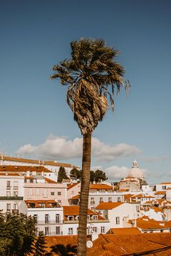 Uitzicht Lissabon palmboom van Aniek Paauwe