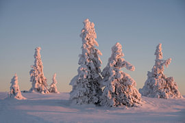 Snowmen by Laura Wollschlaeger