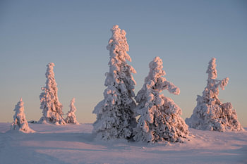 Schneemänner