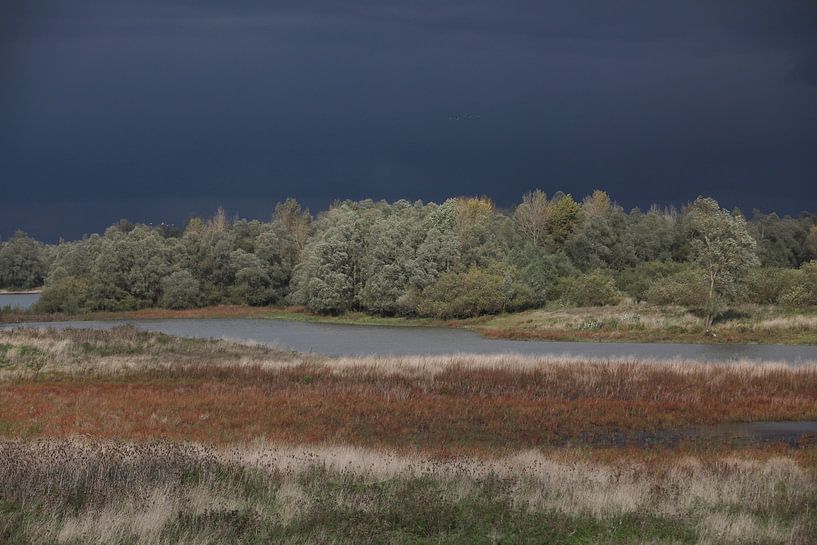 Threatening thundercloud by Herman Peters
