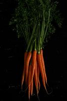 Carrots