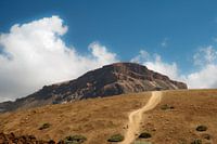 Tenerife