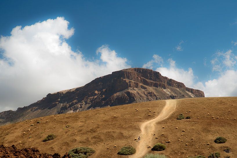 Tenerife by Paul Glastra Photography
