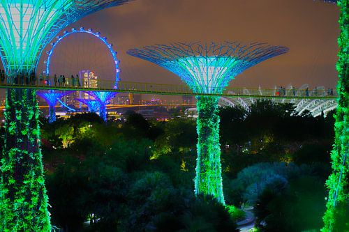 Supertree Grove Singapore