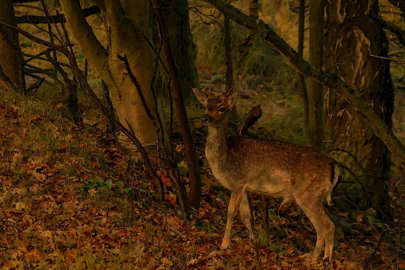 Hirsche im Wald von Patrick Herzberg