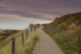 Le sentier menant au Slufter à Texel.