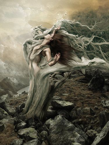 Surrender to the destanation of the wind