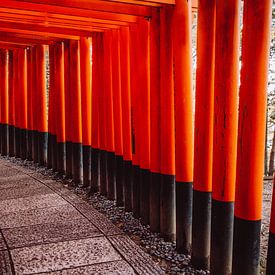 Rode poorten bij de Fushimi Inari-taisha in Kyoto van Expeditie Aardbol