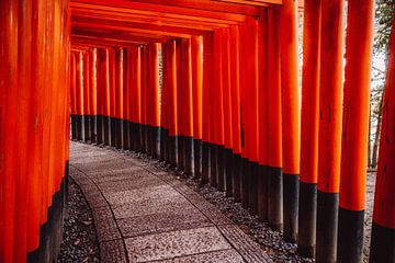 Rode poorten bij de Fushimi Inari-taisha in Kyoto van Expeditie Aardbol