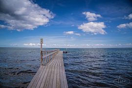 The bathtub bridge by Tina Linssen