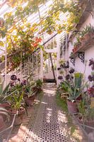 English Plants greenhouse