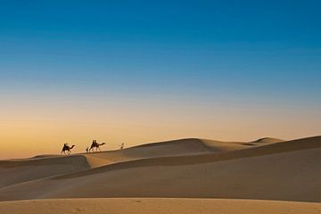 Kamelen aan de horizon van Wilna Thomas