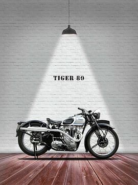 Triumph Tiger 80 van Slukusluku batok