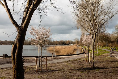 First Signs of Spring