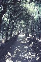 Boboli-Gärten in Florenz