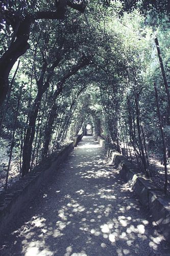 Boboli Gardens in Florence
